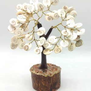 Gomti Chakra Tree for Vastu